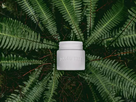 Hollow Tree Candle Co. product photo